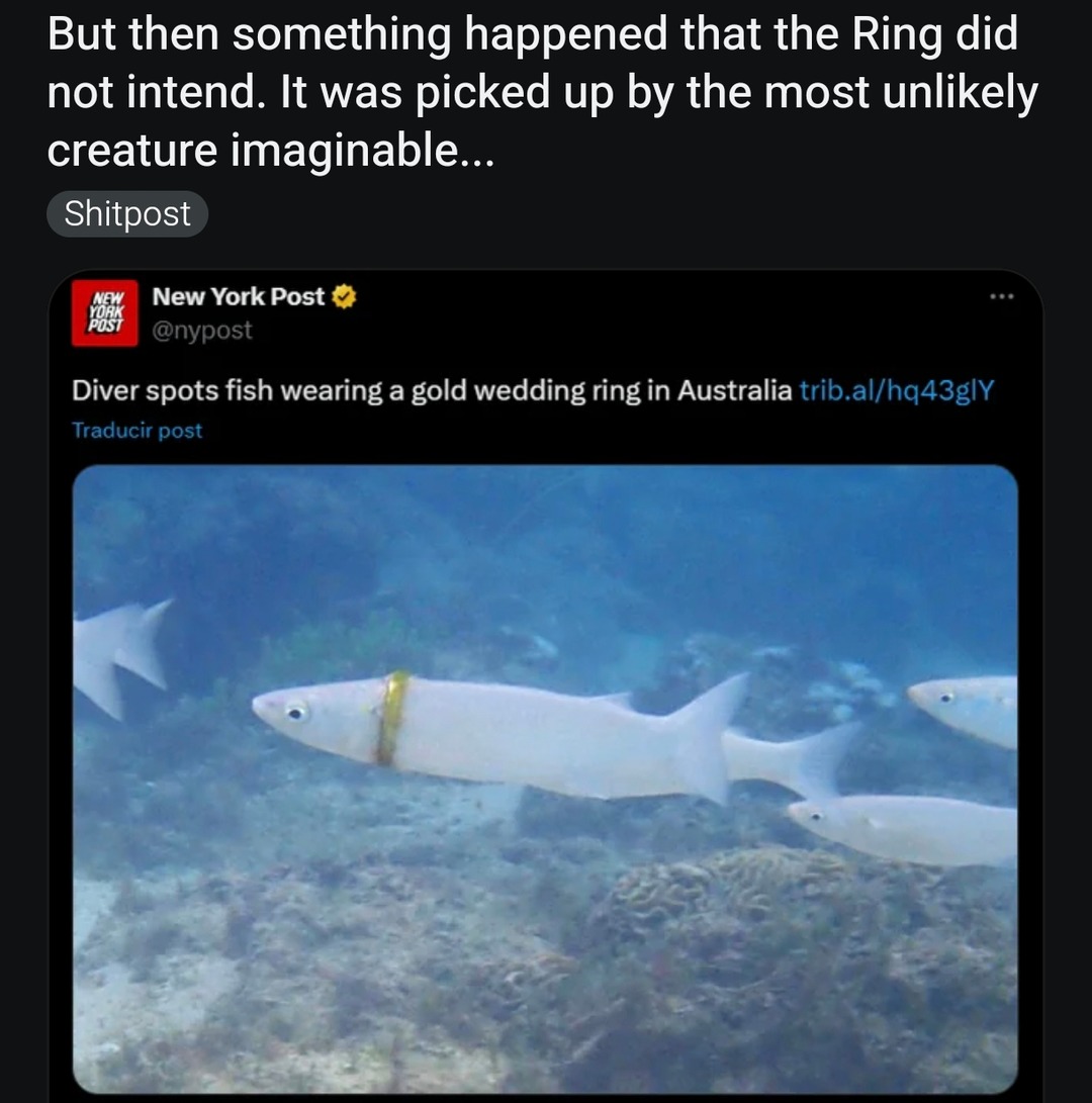 One fish to rule them all - meme