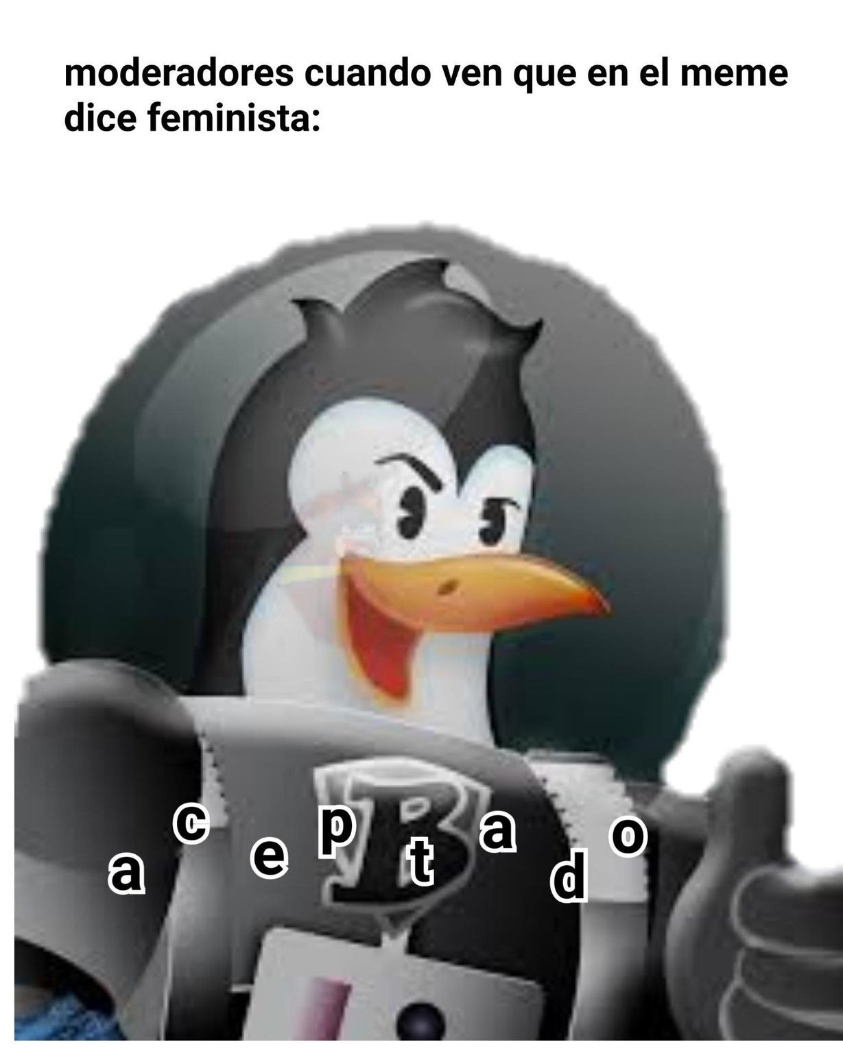 feministas - meme