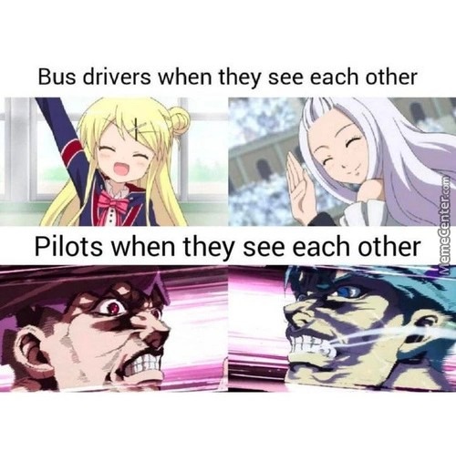 Bus drivers vs pilot - meme