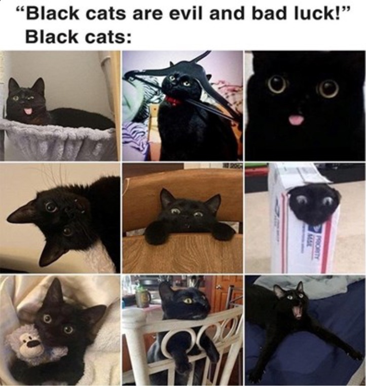 :P - meme