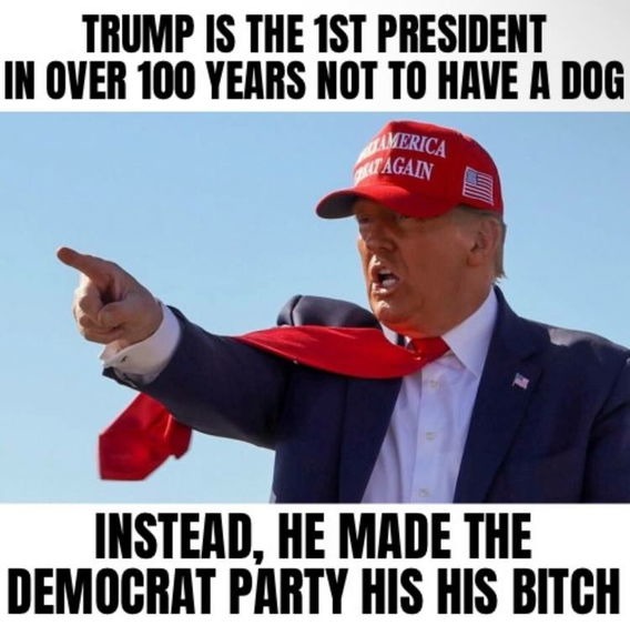 Not wrong - meme