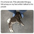 commented item thumbnail
