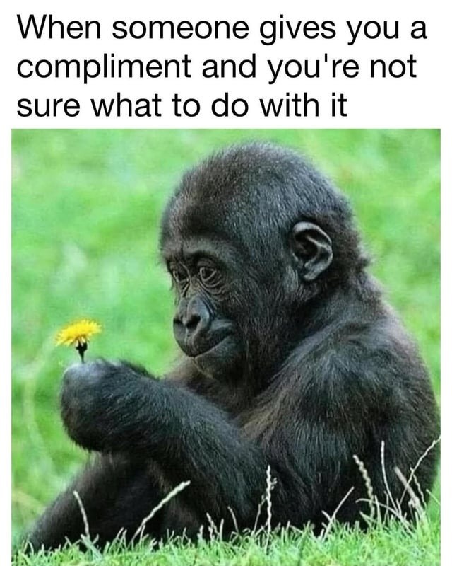 Compliment received don’t know what to do - meme