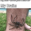 Leg hair that feels like a huge spider