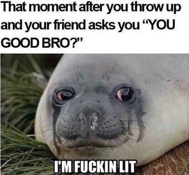 You good bro? - meme