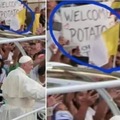 Welcome potato