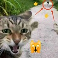 commented item thumbnail