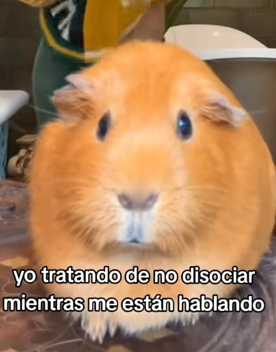yo intentando no disociar mientras alguien me habla fuerte - meme