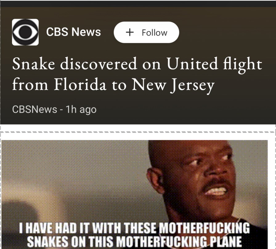 Snakes on a plane - meme