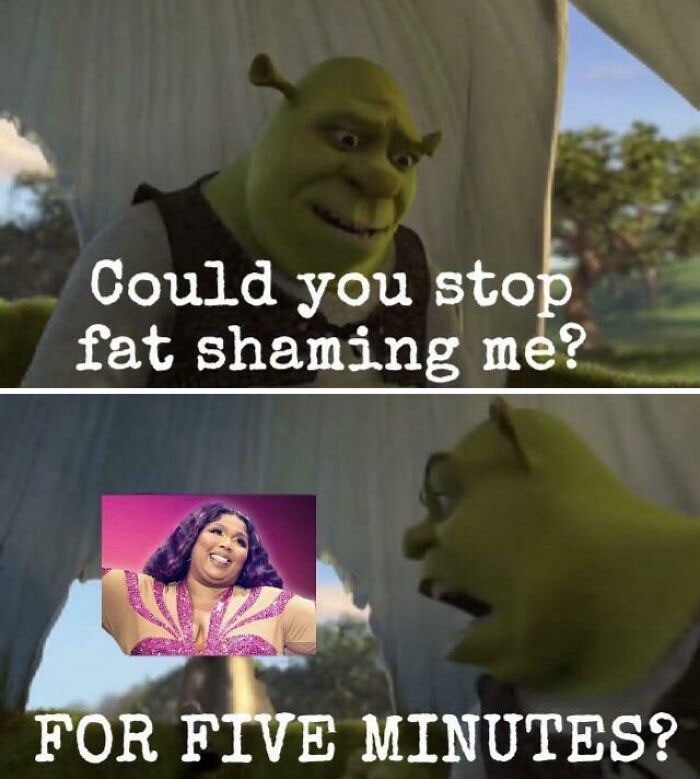 The best Shrek 5 memes :) Memedroid