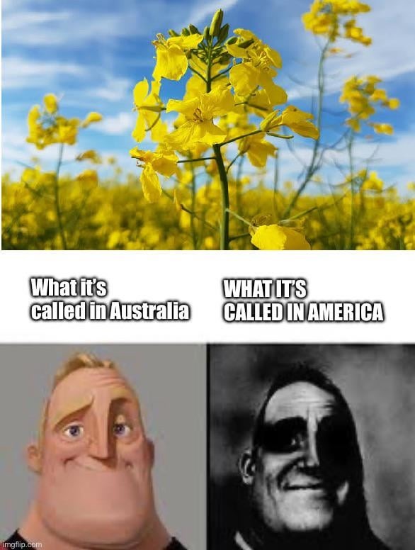 Australia vs America - meme