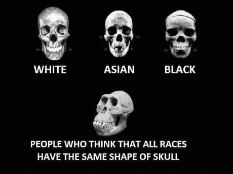 Skulls - meme