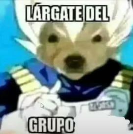 El 60% del grupo con cjcj - meme