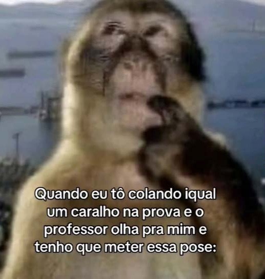 Macaco - meme