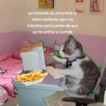 commented item thumbnail