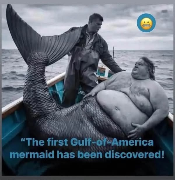 gulf of america - meme