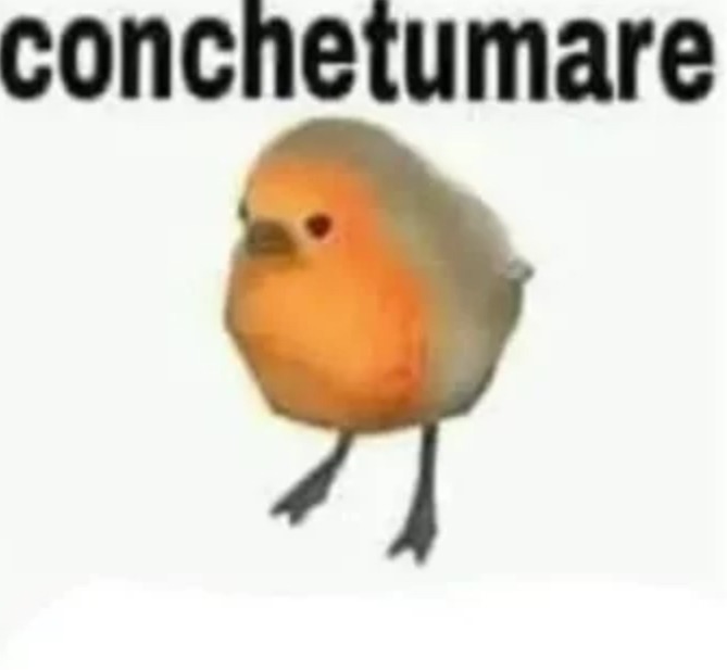 Conchetumare - meme
