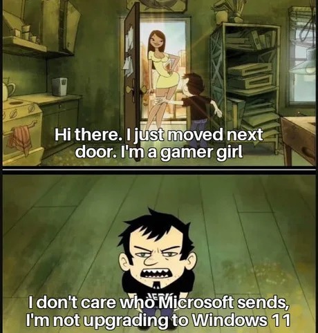 Gamer girl - meme