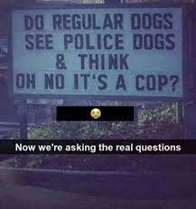 police dog - meme
