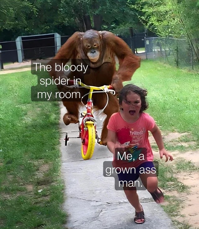 Yes meme
