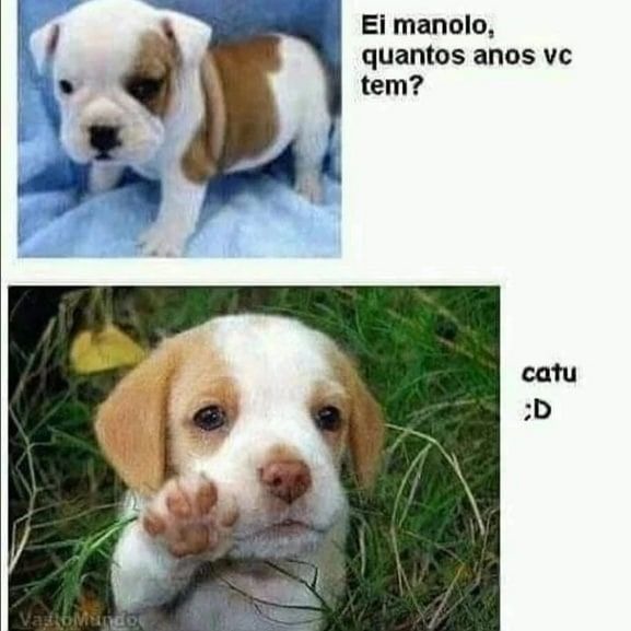 eita porra ☯︎ - meme