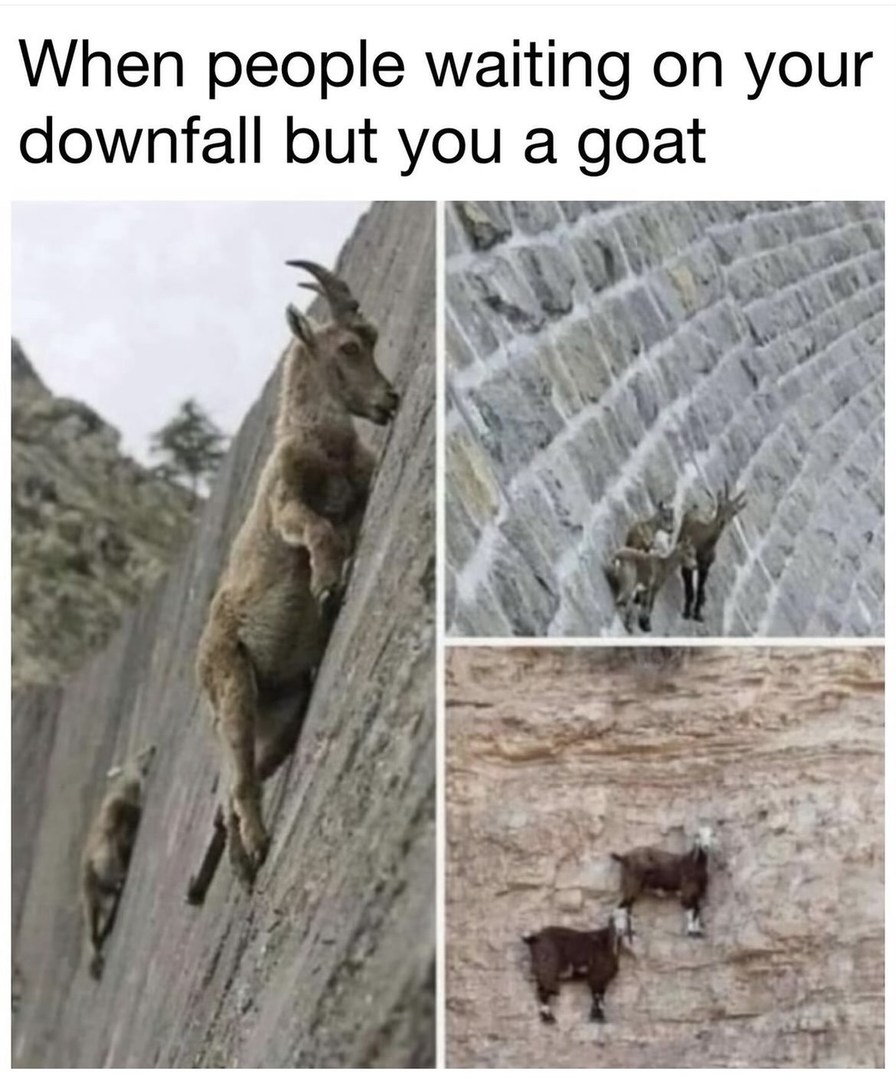 My wife sent this to me, I needed it today - meme