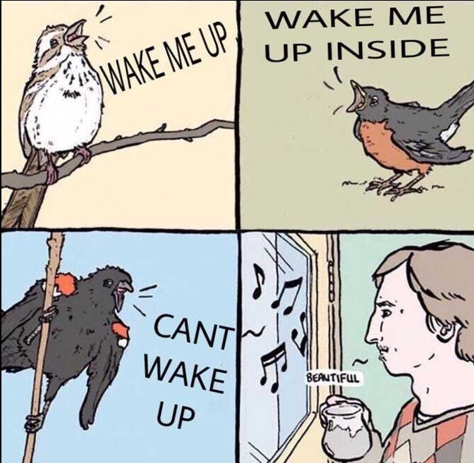 Wake me up - meme