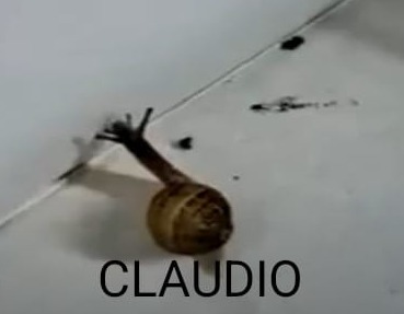 Claudio - meme