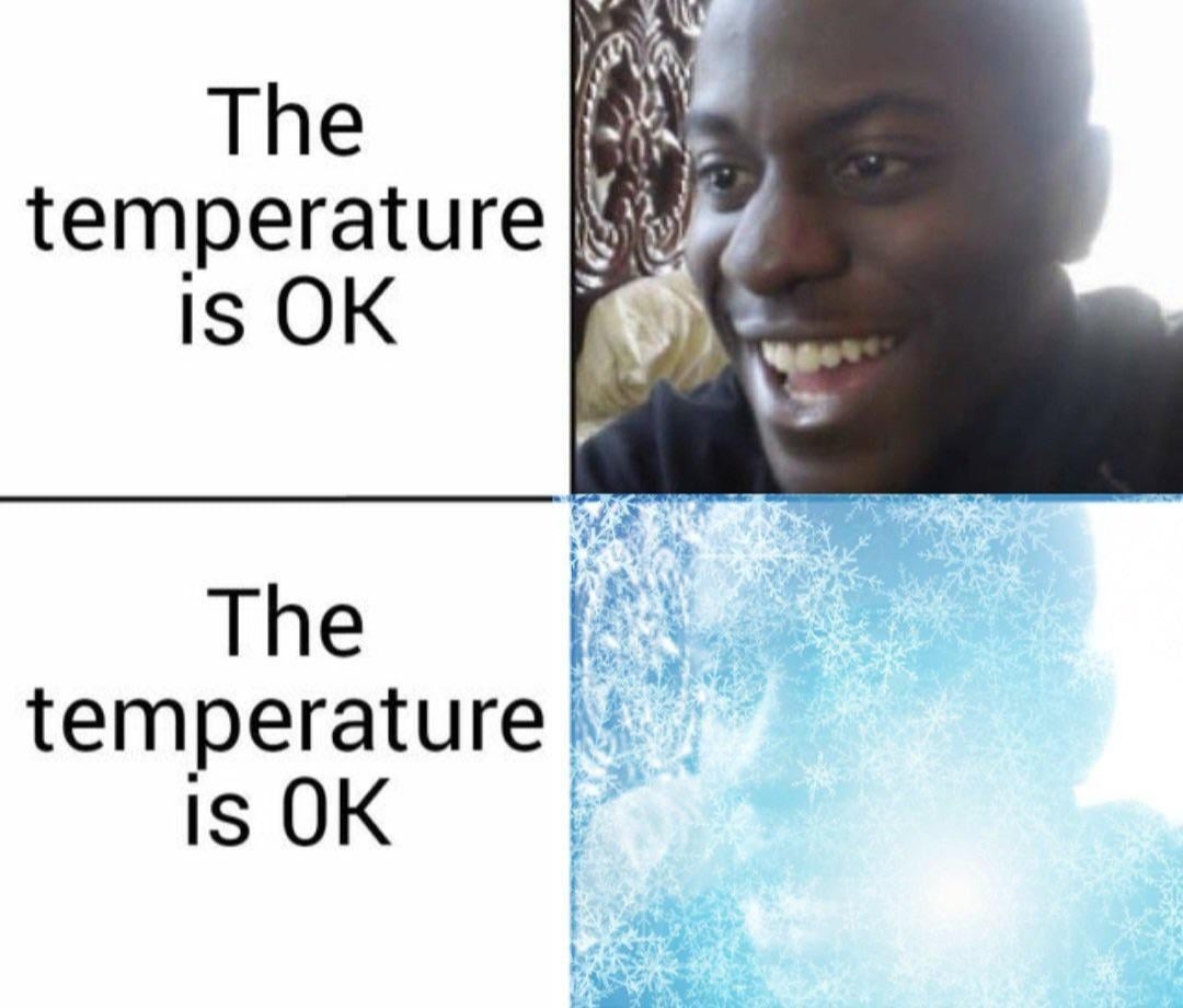 The temperature is ok - meme