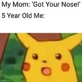 Got you nose meme