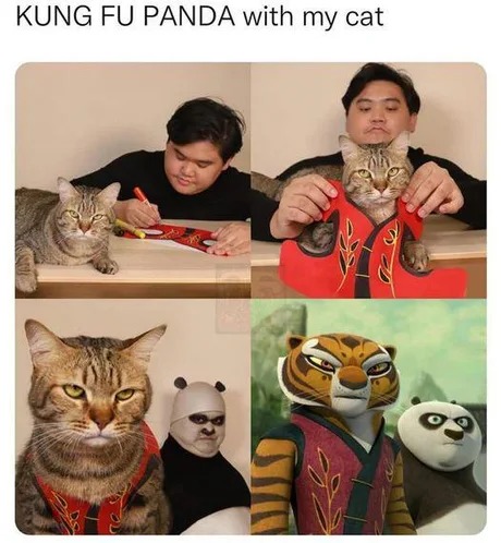 Best Kung fu panda cosplay - meme