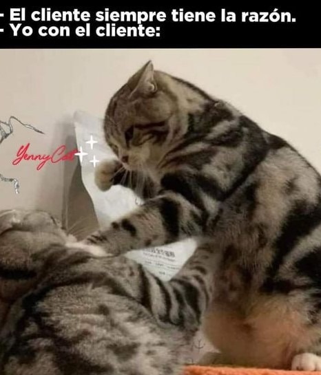 El cliente siempre tiene la razón? - meme