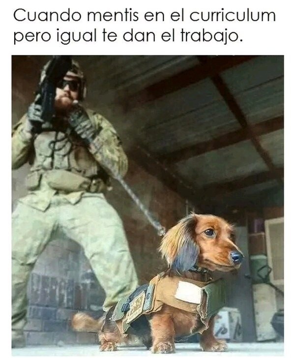 mi trabajo - meme