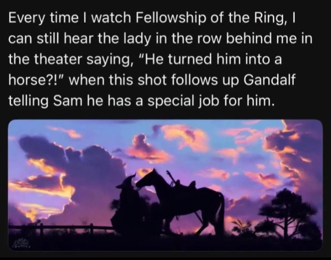 Fellowship of the ring meme
