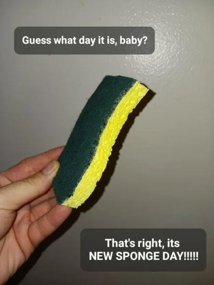 It's new sponge day and nothing else matters - meme