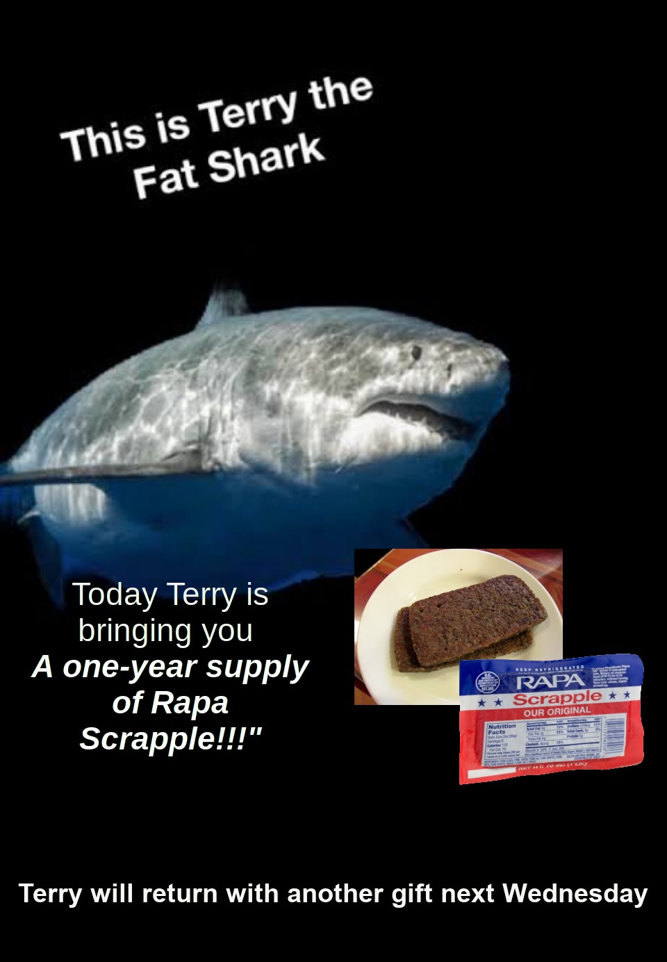 Terry the fat shark is back - meme