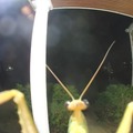 commented item thumbnail