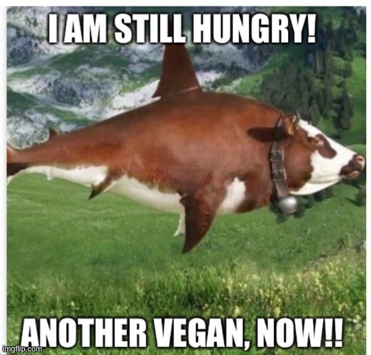 when you fuse a cow and a shark - meme