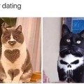 Cat couple