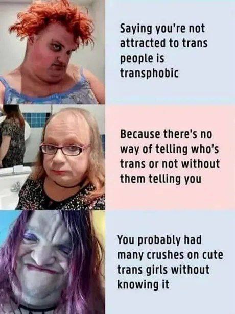 Trans bitchin - meme