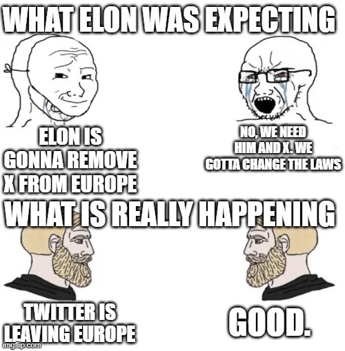Elon is gonna remove X from Europe - meme