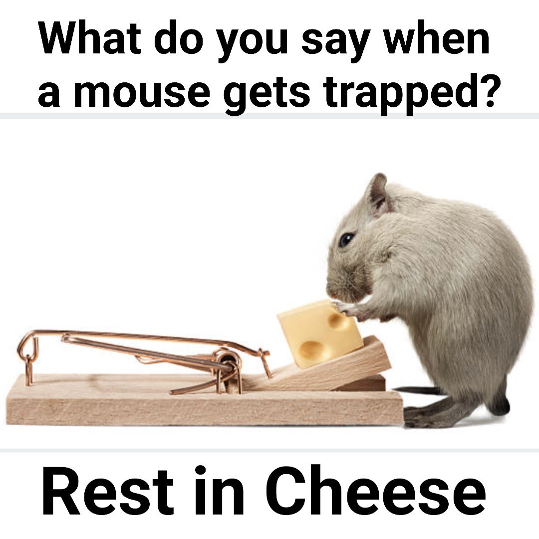 Mouse - meme