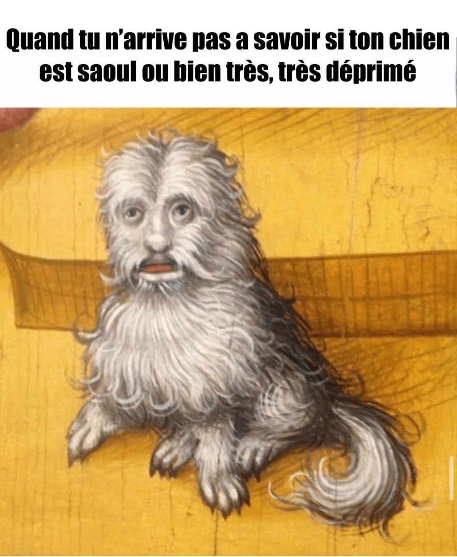 serpillère - meme