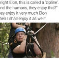 Go Elon.