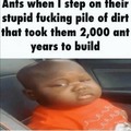 Fuck dem ants