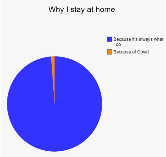 Why I stay at home - meme