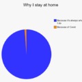 Why I stay at home
