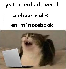 el michi notebook - meme