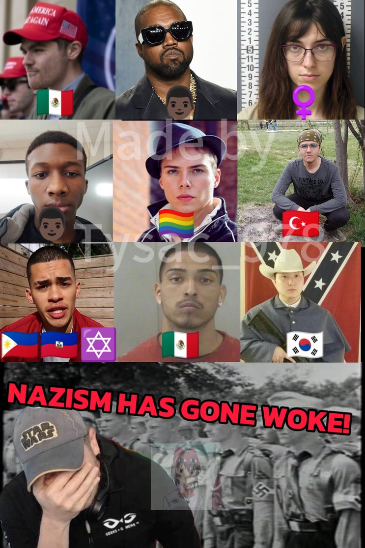 He aquí, los salvadores de la raza blanca - meme