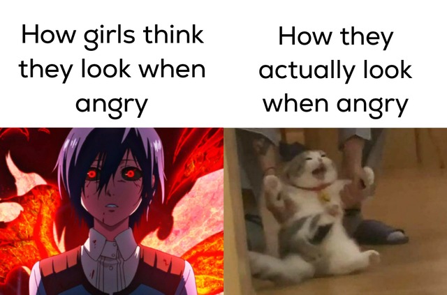 How girls actually look when they are angry - meme